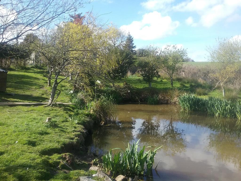 Lydford Heathergate Cottage Dartmoor Bnb المظهر الخارجي الصورة