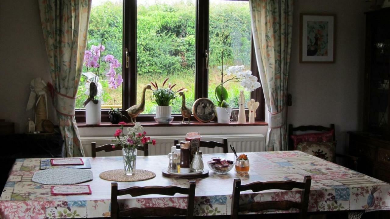 Lydford Heathergate Cottage Dartmoor Bnb المظهر الخارجي الصورة