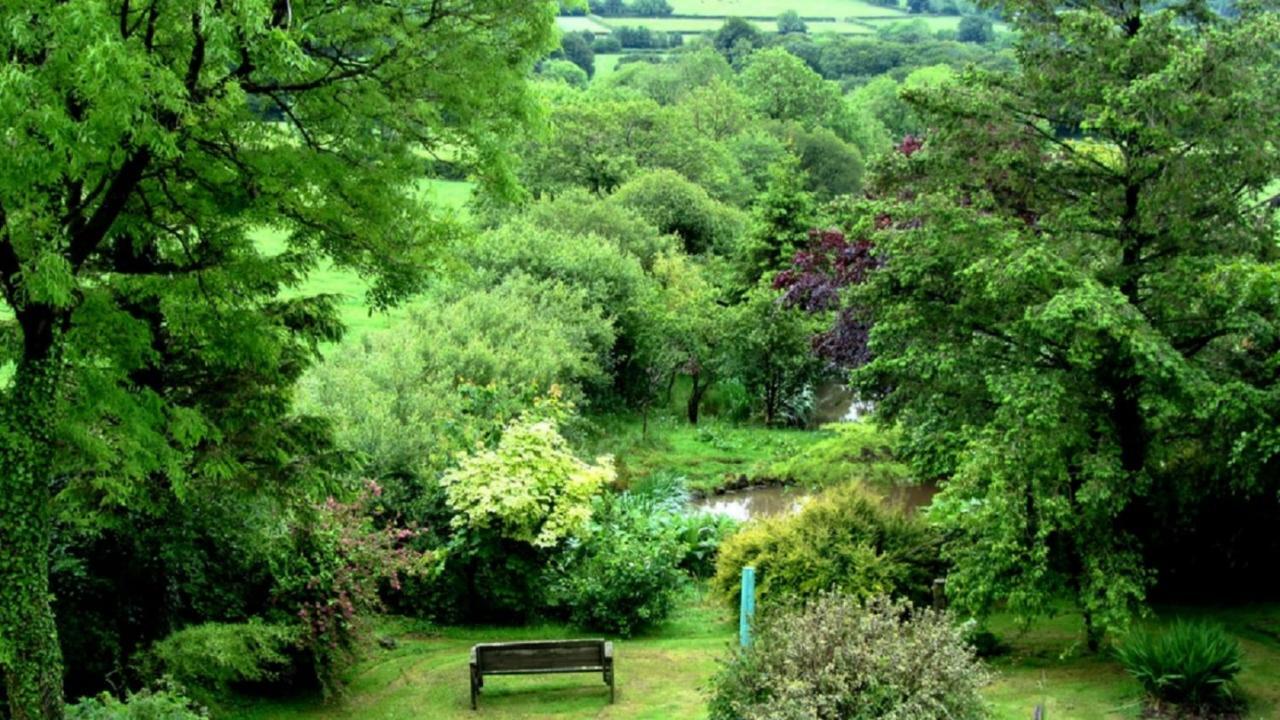 Lydford Heathergate Cottage Dartmoor Bnb المظهر الخارجي الصورة